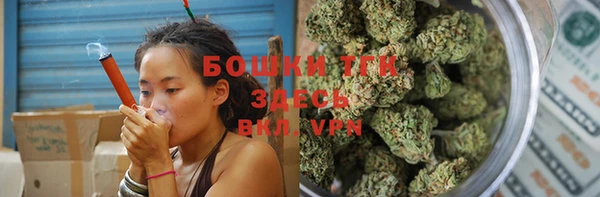 ешки Верхний Тагил