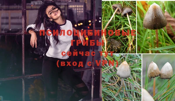 ешки Верхний Тагил