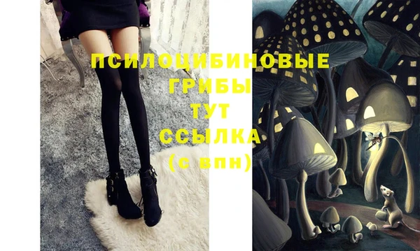 ешки Верхний Тагил