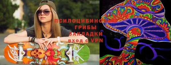 ешки Верхний Тагил