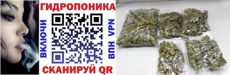 где купить наркоту  Пугачёв  blacksprut вход  Канабис индика 